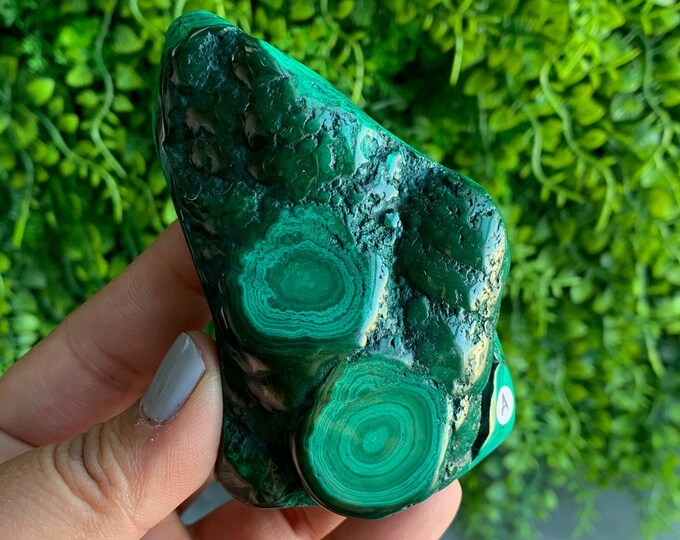 164g Vibrant Botryoidal Malachite Freeform, Congo, Green Evil Eye, Stone of Protection