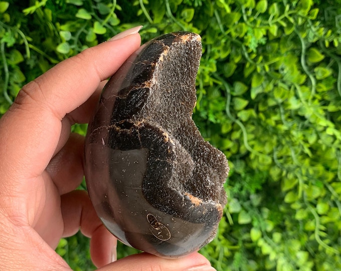 311g Small Septarian Dragons Egg, Druzy, Leopard Pattern, Velvet Druzy, Stone of Wholeness