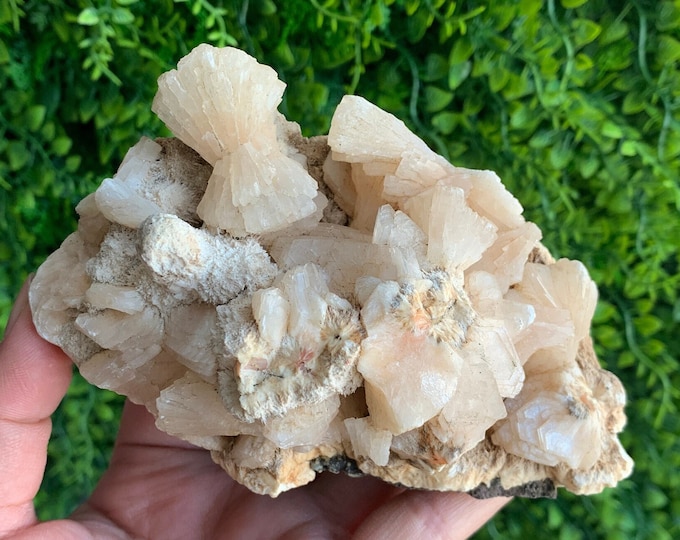 343g Peach Stilbite Cluster on Matrix, Perfect Peach Stilbite Bow Tie, Apophyllite, Angelic Stone