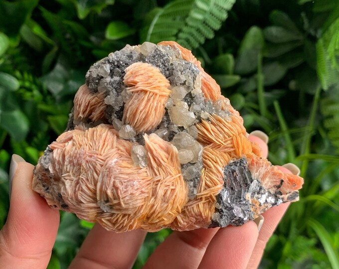 469g Orange Barite Clusters with Cerrusite and Galena, Stone of Connections