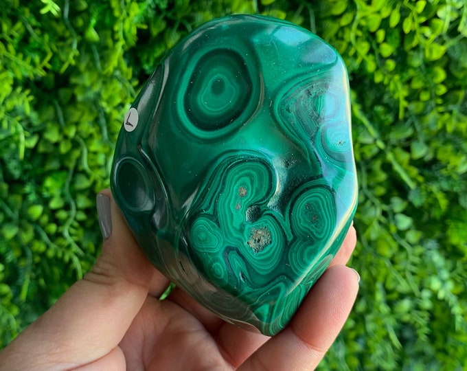 463g Beautiful Botryoidal Malachite Freeform, Congo, Green Evil Eye, Stone of Protection