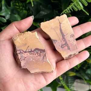 Moroccan Picture Jasper Slab: Polished Dendritic Stone