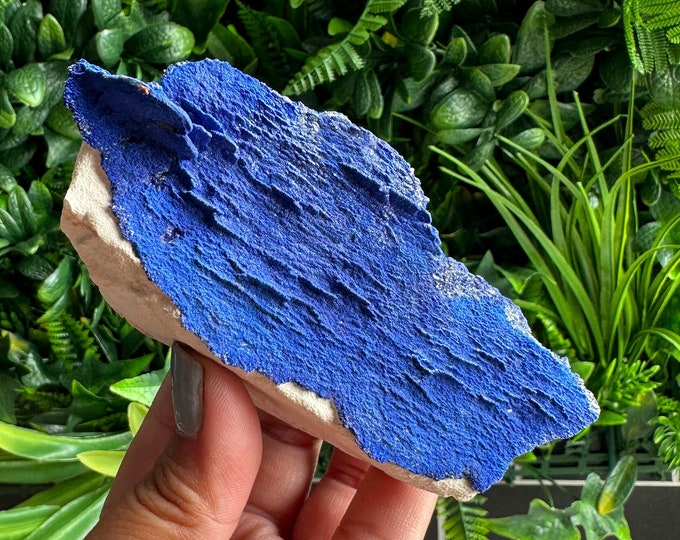 190g Azurite Sun Show Piece Cluster on Kaolinite, Azurite Flowers, Self Standing, Australia, Stone of Energy Rejuvenation