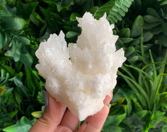 339g Sparkling White Aragonite Cluster, Cave Calcite, Dogtooth Formations, Large Show Piece, Mexico, Stone of Patience