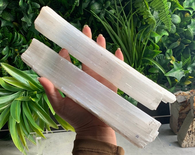 10 Inch Long Raw Gypsum Selenite Wand, Mexico, Fibrous, C and D, Chatoyant, Pick Your Own, Stone of Cleansing Energy