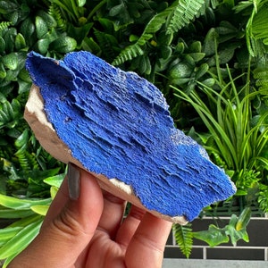 Conjunto de peças de exposição solar de azurita 190g em caulinita, flores de azurita, autoportante, Austrália, pedra de rejuvenescimento energético