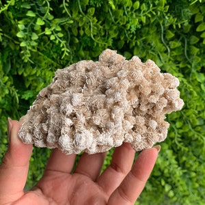 306g Desert Rose Selenite Cluster, Small Rose Buds, Collectors Item, Mexico, Stone of Protection