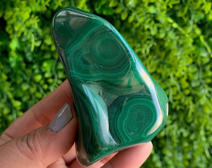 260g Vibrant Botryoidal Malachite Freeform, Congo, Green Evil Eye, Stone of Protection