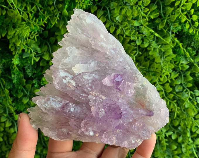 300g Rare Amethyst Flower Plate Show Piece Cluster, Rare Formation from Brazil, Stone of Relaxation