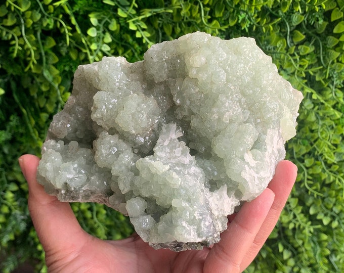 938g Bowtie Prehnite Cluster, Pastel Green, Collectors Item, Stone of Protection