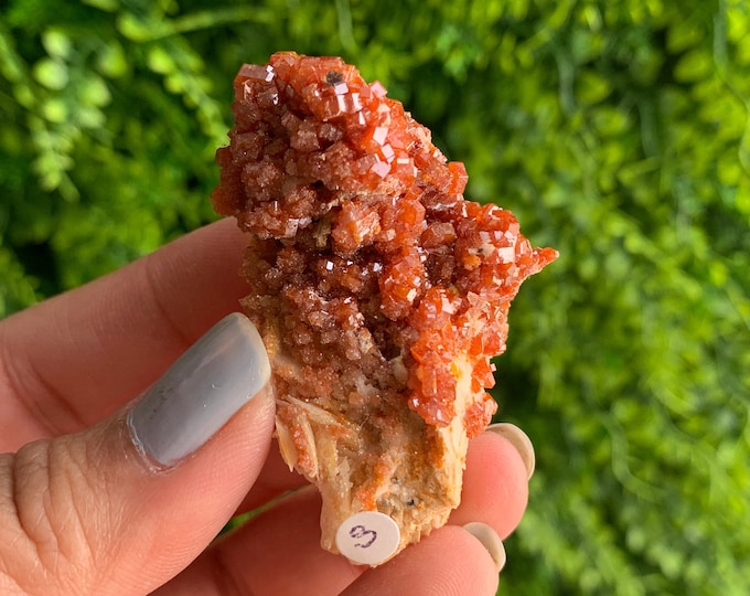 52g Vanadinite on Barite Cluster, Fire Element, Dendritic Matrix, Sacral Chakra, Morocco, Stone of Creativity