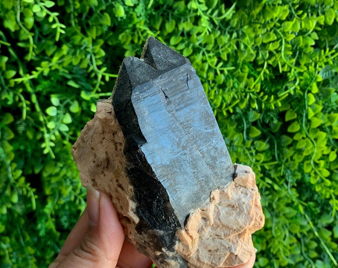 313g Black Smoky Quartz Cluster, Rough Points, Secondary Growth, Self Healing, Rough Stone, Morion Quartz, Stone of Resilience