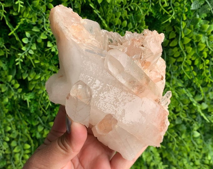 579g Rare Etched Himalayan Quartz Cluster with Needle Point Formations, Penetrator Keys, Stone of Calming Energy