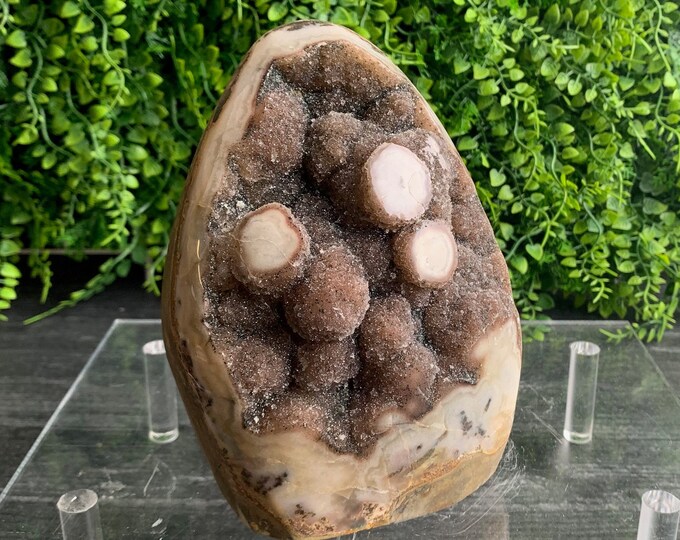 1965g Chocolate Amethyst Cluster in Polished Freeform with Polished Stalactites, Uruguay, Stone of Relaxation