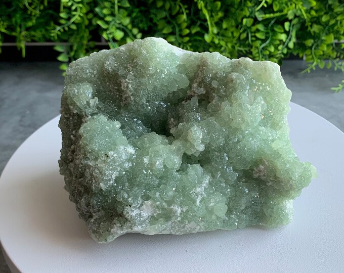 863g Sparkling Green Prehnite Cluster, Large, Bowtie Formation, Jade Color, Stone of Love