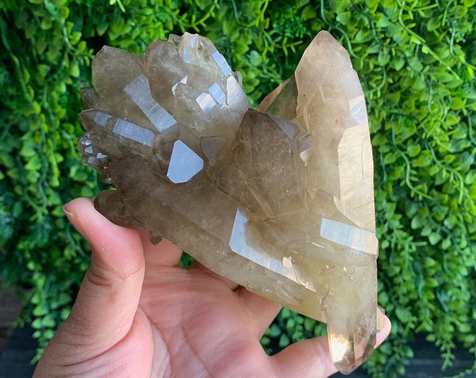 550g Beautiful Smoky Citrine Cluster with Lots of Naturally Double Terminated Points, Keys, Tantric Points, Stone of Abundance