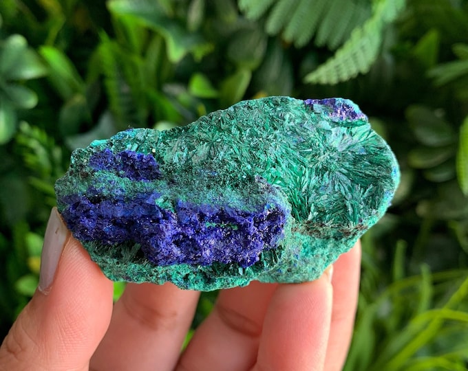 101g Azurite with Fibrous Malachite and Chrysoprase on Matrix, Collection Item, Stone of Protection and Energy Rejuvenation