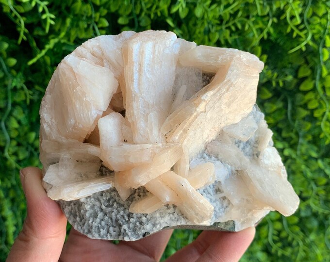 462g Peach Stilbite Show Piece Cluster on Blue Chalcedony and Matrix, Apophyllite, Angelic Stone