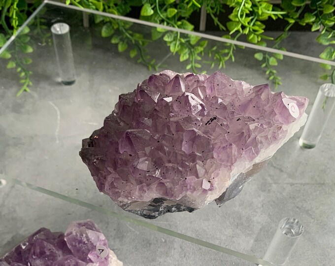 1pc Large Raw Amethyst Cluster on Agate, Pick Your Own, Stone of Relaxation