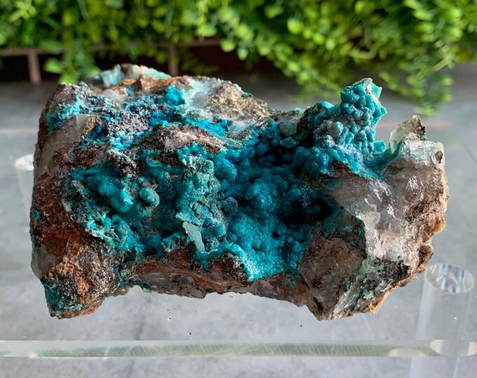 308g Raw Chrysocolla Specimen on Matrix, Rough Stone, Stone of Harmony