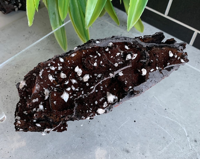 442g Black Siderite Show Piece Cluster with Double Terminated Calcite Points, Rare Material, Stone of Positive Energy