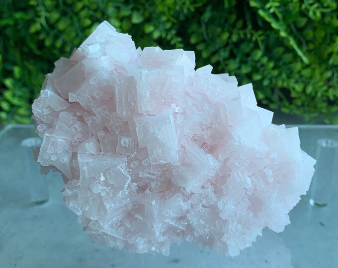 404g Pink Halite Cluster Show Piece, Owens Lake 2022, Inyo County, California, High Quality, Stone of Self Love