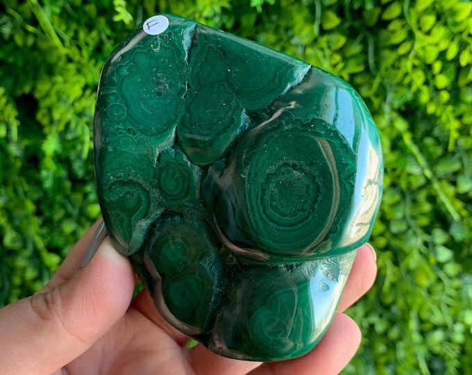296g Vibrant Botryoidal Malachite Freeform, Congo, Green Evil Eye, Stone of Protection
