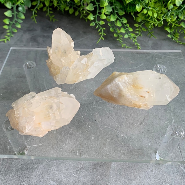 Light Golden Healer Pineapple Quartz Cluster with Big Clear Phantom Points, Pick Your Own, Stone of Amplifying Your Intentions