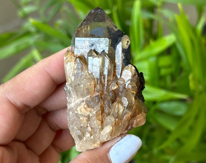Chunky Kundalini Citrine Pineapple Cluster: Congo Stone of Abundance (98g)