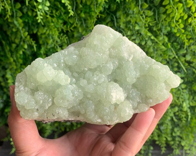 882g Bowtie Prehnite Cluster, Pastel Green, Collectors Item, Stone of Protection