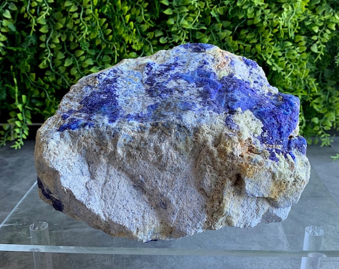 3575g Lapis Lazuli Freeform, Large Raw Stone, Afghanistan, Stone of Good Luck