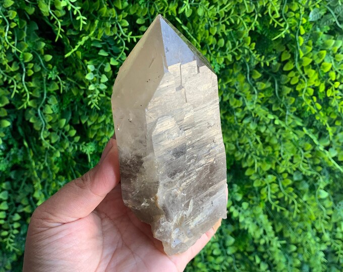 745g Large Smoky Quartz Elestial Point, Raw Stone, Self Healing, Lemurian Striations, Stone of Resilience