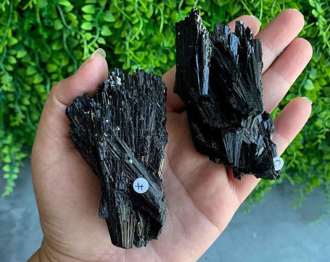 Large Rare Black Tourmaline Fan Cluster, Rare Formation, High Quality, Peruvian, Pick Your Own, Stone of Spiritual Protection
