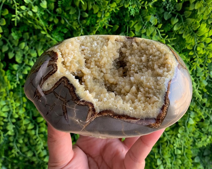 911g Dogtooth Septarian Freeform, Felted Cut Base, Natural Drusy, Dragons Egg, Leopard Pattern, Utah, Stone of Wholeness