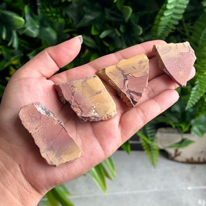 Moroccan Picture Jasper Slab: Polished Dendritic Stone of Grounding