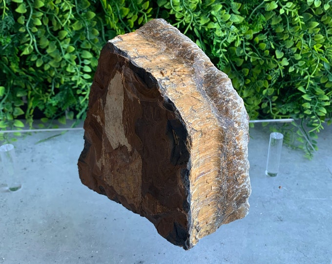 1638g Chatoyant Golden Tigers Eye Raw Freeform, Raw Stone, Stone of Good Luck
