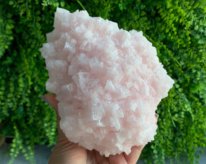 1123g Pink Halite Show Piece Cluster, High Shine, High Quality, Owens Lake 2022, Inyo County, California, Stone of Self Love