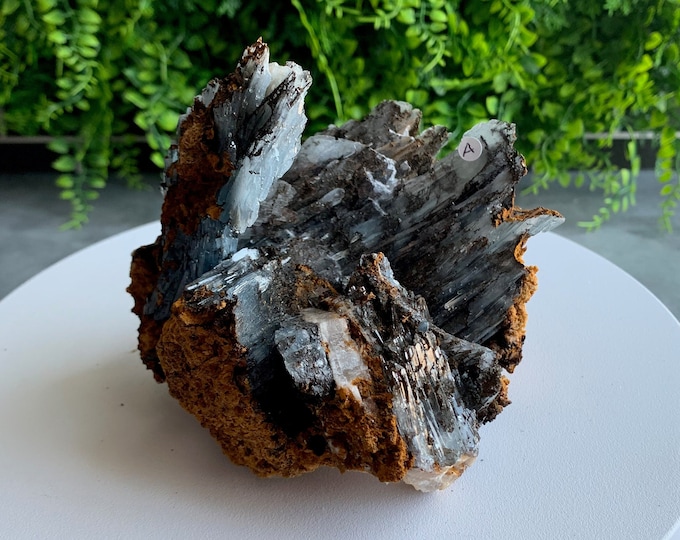 769g Baby Blue Barite Cluster Show Piece with Native Dirt, Chatoyant, Morocco, Gem Quality, Stone of Connection