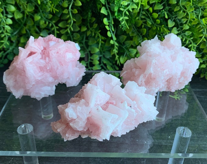 Rare Pink Halite Cluster Specimen, 12s, Owens Lake 2022, Inyo County, California, High Quality, Pick Your Own, Stone of Self Love