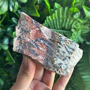 439g Picture Jasper Raw Stone: Freeform Flower Jasper