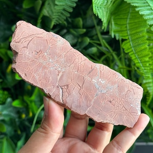 127g Picture Jasper Polished Slab from Morocco, Rectangular Shaped, Dendritic Jasper, Stone of Grounding