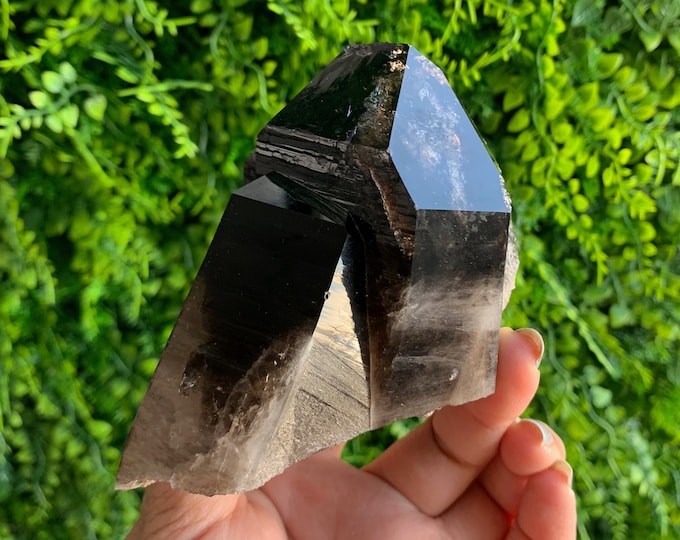 528g Shiny Black Smoky Quartz Cluster, Morion Quartz, Self Healing, High Quality, Stone of Grounding