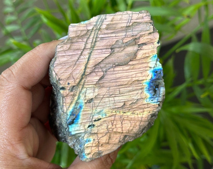 257g Sunset Orange Flash Labradorite Half Polished Freeform, Adularescence, Stone of Transformation