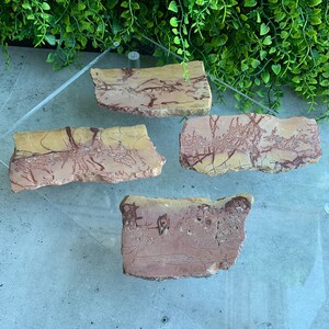 Moroccan Picture Jasper Slab: Dendritic Stone of Grounding