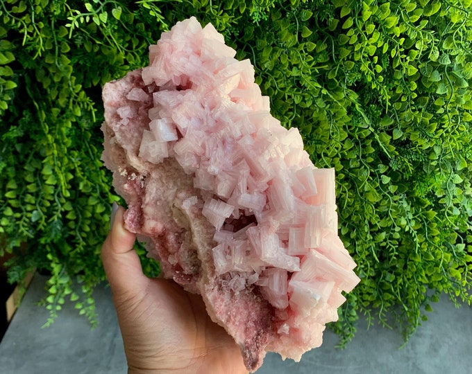 1456g Pink Halite Show Piece Cluster, High Shine, High Quality, Owens Lake 2022, Inyo County, California, Stone of Self Love