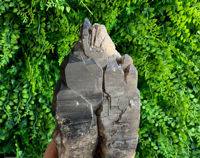 1494g Dark Black Smoky Quartz Elestial Quartz Show Piece, Alligator Quartz, Morion Quartz, High Quality, Stone of Resilience