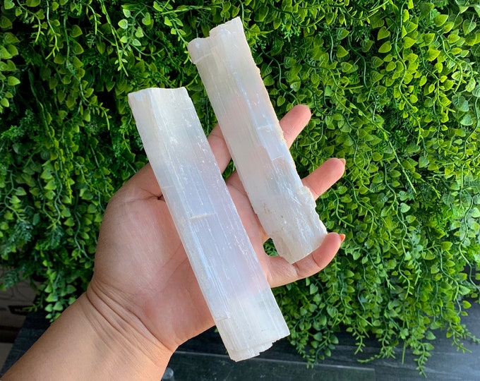 5+ Inch Raw Gypsum Selenite Wand, Pick Your Own, Stone of Cleansing Energy