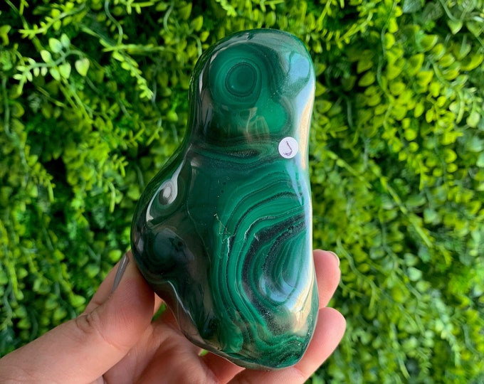 416g Beautiful Botryoidal Malachite Freeform, Congo, Green Evil Eye, Stone of Protection