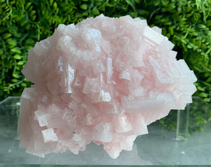 500g Pink Halite Show Piece Cluster, High Shine, High Quality, Owens Lake 2022, Inyo County, California, Stone of Self Love
