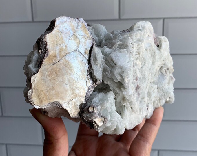 994g Morganite Albite Cluster with Golden Mica Mirror, 2 Pounds, Stone of Humble Love